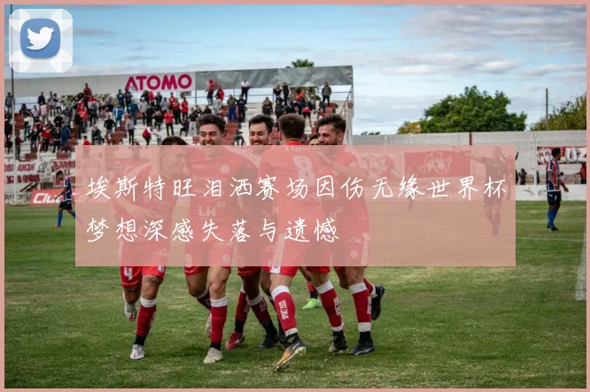 埃斯特旺泪洒赛场因伤无缘世界杯梦想深感失落与遗憾